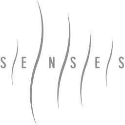 5sense_logo256-1